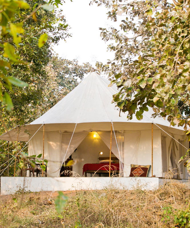 Jamtara Wilderness Camp — Pench, Madhya Pradesh